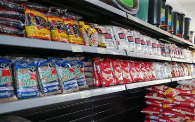 Consumo nos lares brasileiros cresce no primeiro trimestre