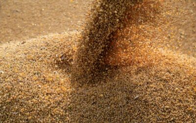BrasilAgro antecipa início do plantio de soja