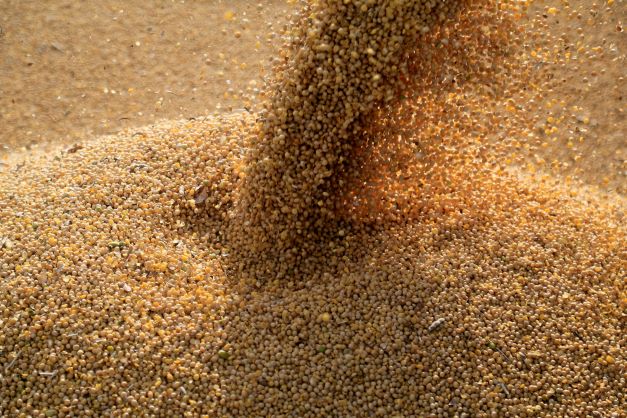 BrasilAgro antecipa início do plantio de soja