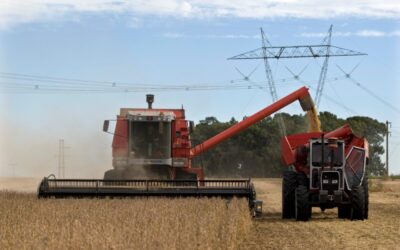 Colheita de soja 2022/23 do Brasil atinge 5% da área