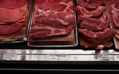 Indústria de carnes domina delegação de Lula à China