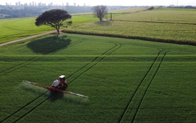 Setor agrícola do Brasil pede R$1,5 bi à Fazenda